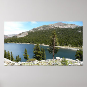 Poster Lac Tenaya dans le parc national de Yosemite