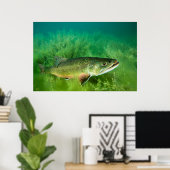Poster Lac Trout Portrait, Emerald Lake, Montana (Bureau à domicile)