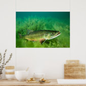 Poster Lac Trout Portrait, Emerald Lake, Montana (Cuisine)