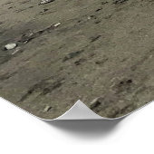 Poster Lac Wallowa (Coin)