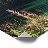 Poster Lac Whistler (Coin)