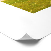 Poster Lac Wolfgangsee (Coin)