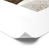 Poster Lac Yosemite Mirror (Coin)