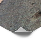 Poster Lac Yosemite Tenaya (Coin)