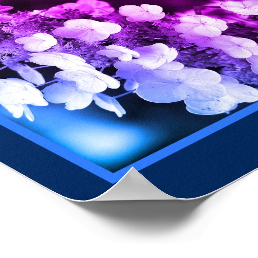 Poster Lacecap Hydrangea Noir Blanc teint Abstrait (Coin)