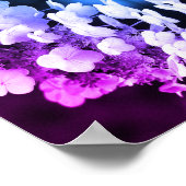 Poster Lacecap Hydrangea Noir Et Blanc Abstrait Tinté (Coin)