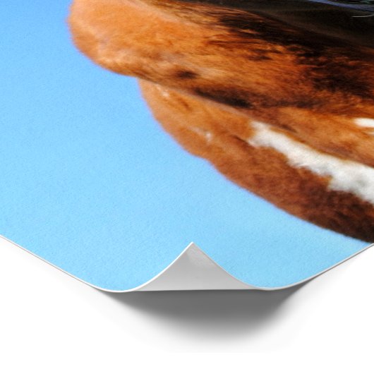 Poster Lachende Kuh (Coin)