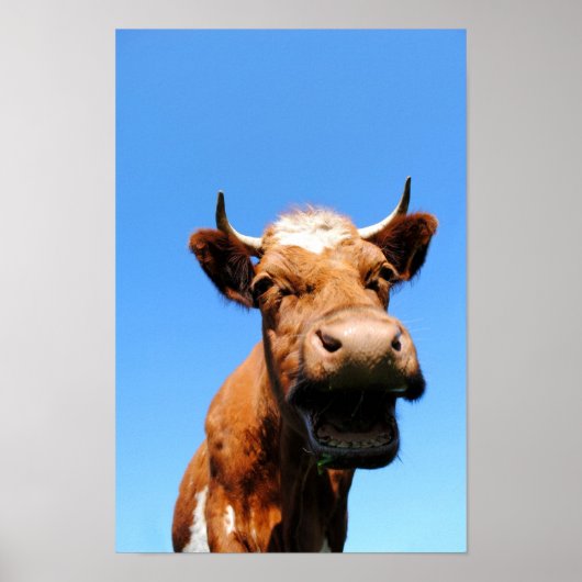 Poster Lachende Kuh (Devant)