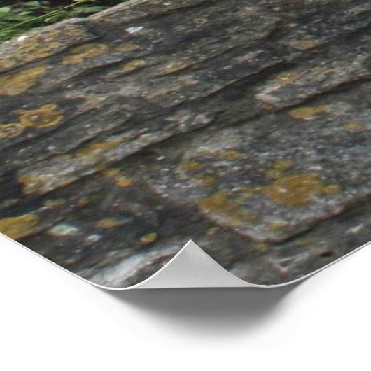 Poster Lacock, Wiltshire, UK (Coin)