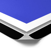 Poster Lacrosse Goalie (Coin)