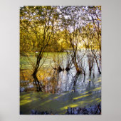 POSTER LACS (Devant)