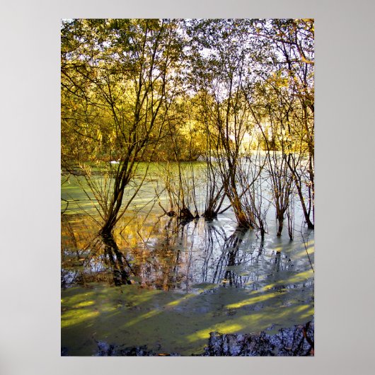 POSTER LACS (Devant)