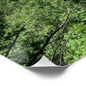Poster Lacs de Plitvice Croatie (Coin)