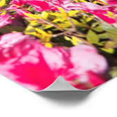 Poster Lacs d'Empadas, Açores (Coin)