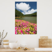 Poster Lacs d'Empadas, Açores (Cuisine)