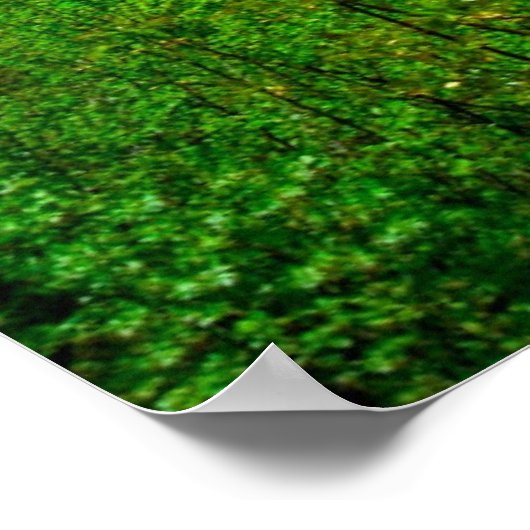 Poster Lacs Plitvice (Coin)
