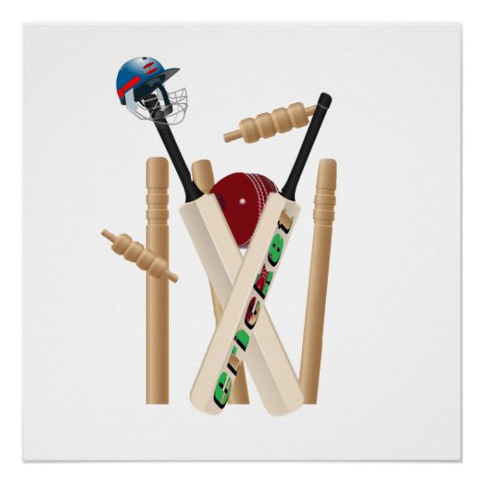 Poster Ladies Cricket The Game Allrounder, (Devant)