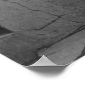 Poster Ladies Day Baseball Fans, 1920s (Coin)