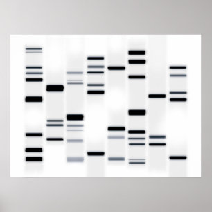 Poster L'ADN codent le noir d'art sur le blanc