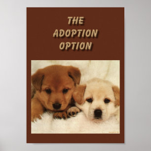 Poster L'adoption sera-t-elle votre première option ?