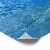 Poster L'adorable cordon (Coin)