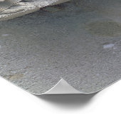 Poster L'Adoration des Mages (Coin)