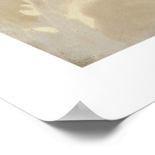 Poster Lady Agnew de Lochnaw (Coin)