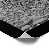 Poster Lady and Officers at Brandy Station, VA 1864 (Coin)