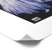 Poster Lady ballerinas (Coin)