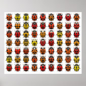 Poster Lady Bugs 1 (Devant)