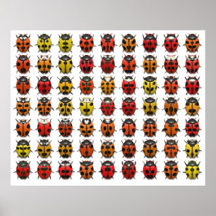 Poster Lady Bugs 1