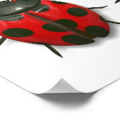 Poster Lady Bugs 1 (Coin)