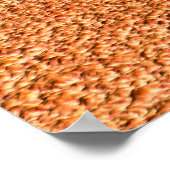 Poster Lady et Lion (Coin)