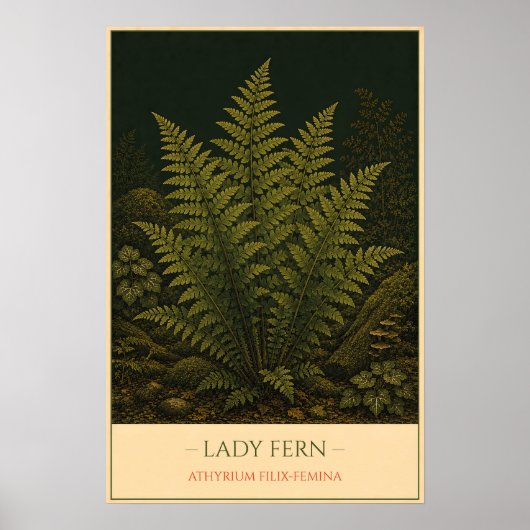 Poster Lady Fern – Vintage Botanical Illustration (Devant)