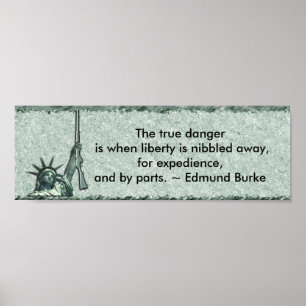 POSTER LADY LIBERTY - BUMPER STICKER - EDMUND BURKE QUOTE
