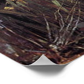 Poster Lady of Shalott Canvas Imprimer (Coin)