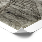 Poster Lady on a Terrace Tending a Carnation Plante (noir (Coin)