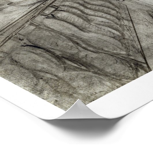 Poster Lady on a Terrace Tending a Carnation Plante (noir (Coin)