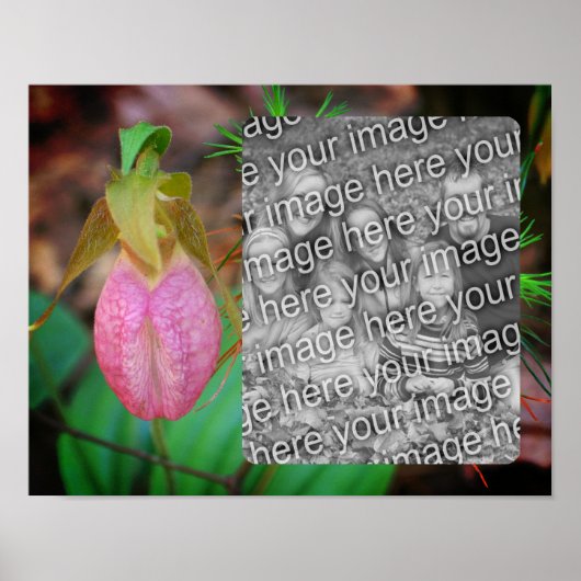 Poster Lady Slipper Orchid Frame Ajouter Votre Photo (Devant)