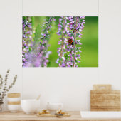 Poster Ladybird sur les fleurs violettes (Cuisine)