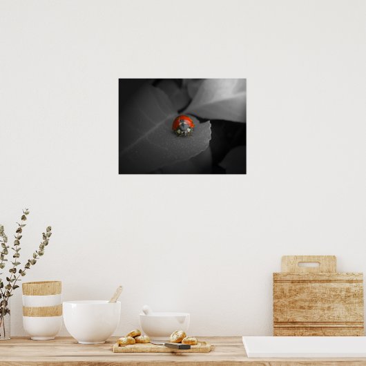 Poster Ladybug (Cuisine)