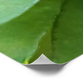 Poster Ladybug (Coin)