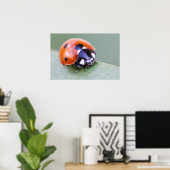Poster Ladybug (Bureau à domicile)