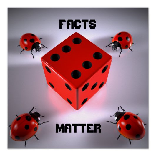 Poster Ladybug (Devant)