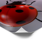 Poster Ladybug (Coin)