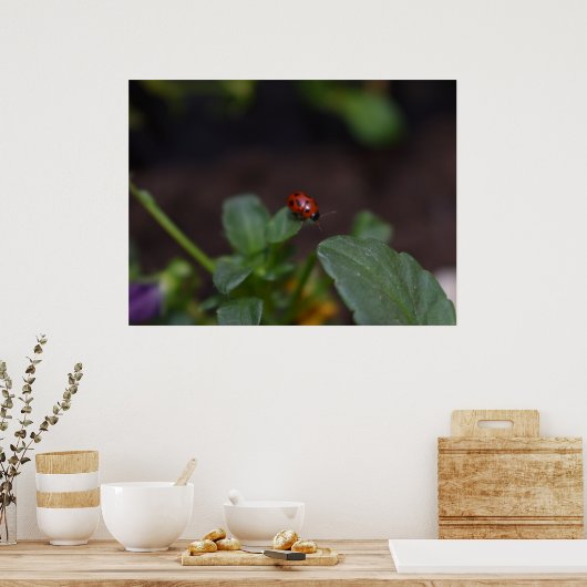 Poster Ladybug (Cuisine)