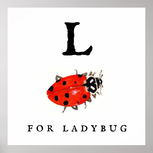 Poster Ladybug (Devant)
