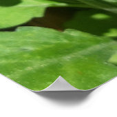 Poster Ladybug (Coin)