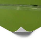 Poster Ladybug (Coin)