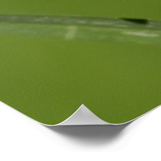 Poster Ladybug (Coin)